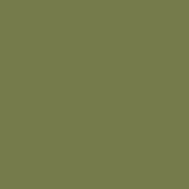 army-green Army Green